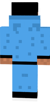 Reissackl