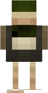 canard 