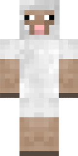 schaap