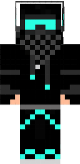 fsfs