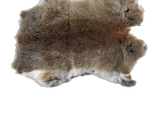 rabbit_hide