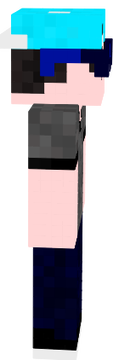 diniz