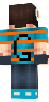 skin