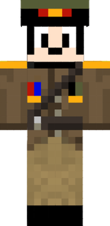 skin
