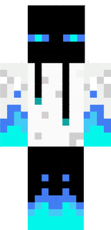Flipper02