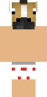 cavalo