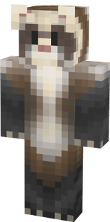 Ferret