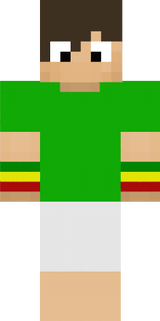 PlayerSete