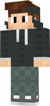 LOGO eigener skin