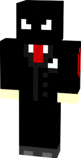 PL SKin