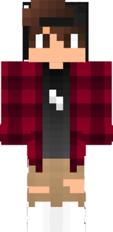 1 skin