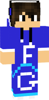 SonicFG1334