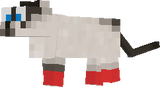 chat
