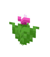 pink flower