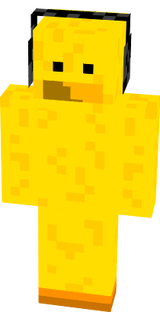 duck2