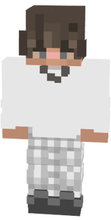Taiky Skin bedw<arqs