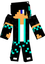 MinhaSkin