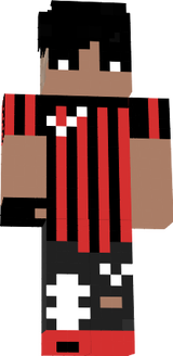 fsfs