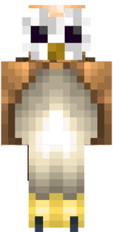 Barn Owl