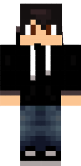 Duanscel