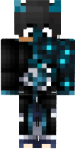 Skin braba