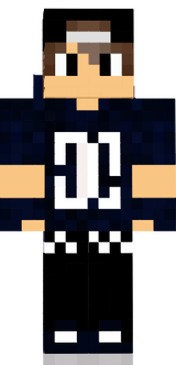 skin minecraft