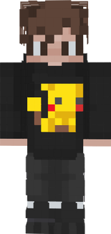 Grossi vans pikachu