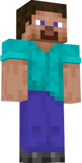 steve 2