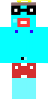landster BR