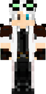 bdssbr11