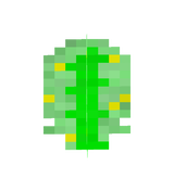 jungle sap