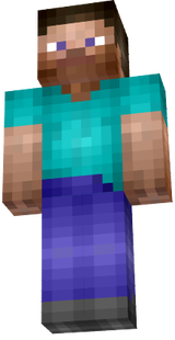 modified steve