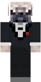 pug