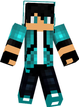 The gamer skin
