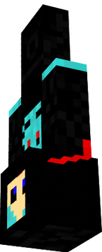 skinn2