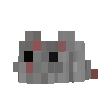 Rat