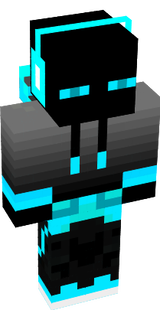 Ender Skin