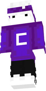 chip