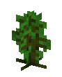 JungleSapling