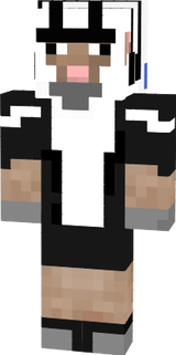 pro ship