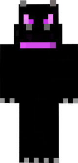 EnderDragon