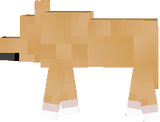 piteco