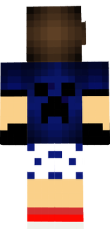 Skin 1