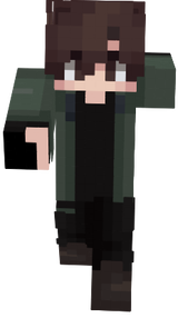 Matt Explorador