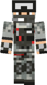 skin