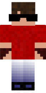Minha skin de bloco craft