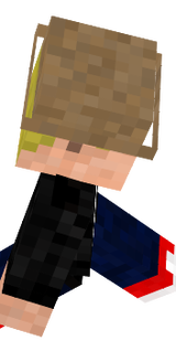 Nic