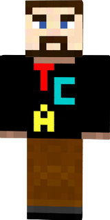 mc skins