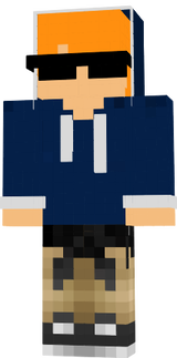 davi 1209