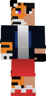 T1ger 2.0